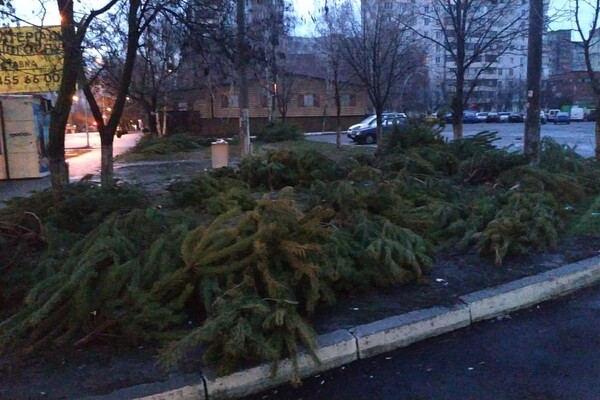 Чтобы не досталось никому: в Одессе торговцы полили брошенные елки солярой фото 3