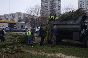 Чтобы не досталось никому: в Одессе торговцы полили брошенные елки солярой фото 4