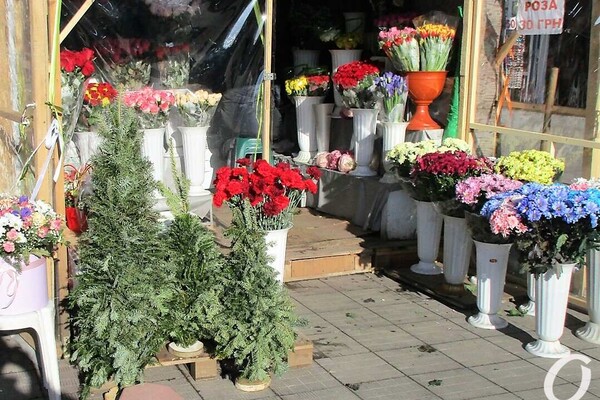 Чисто одесская история: на Привозе торгуют елками даже после Нового года фото 2