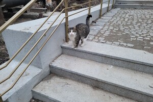 В Одессе после реставрации открыли Курсантскую лестницу: фотоотчет  фото 1