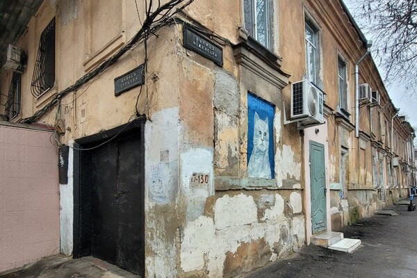 В Одессе появилось новое &quot;кошачье&quot; граффити: фотоотчет фото