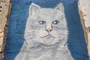 В Одессе появилось новое &quot;кошачье&quot; граффити: фотоотчет фото 1