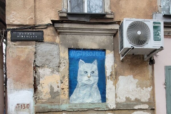 В Одессе появилось новое &quot;кошачье&quot; граффити: фотоотчет фото 2