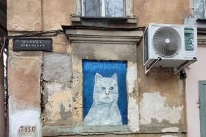 В Одессе появилось новое &quot;кошачье&quot; граффити: фотоотчет фото 2