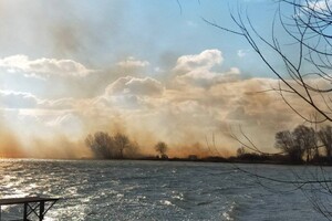 Могут пострадать жилые дома: под Одессой горят плавни (видео, обновлено) фото