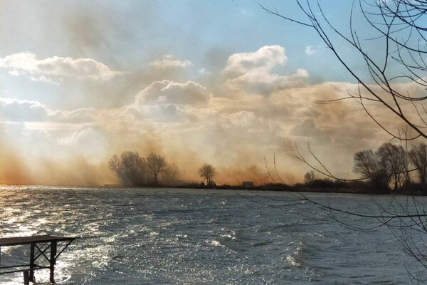 Пожар в природном парке под Одессой нанес убытки на сотни тысяч гривен фото