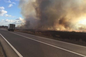 Пожар в природном парке под Одессой нанес убытки на сотни тысяч гривен фото 3
