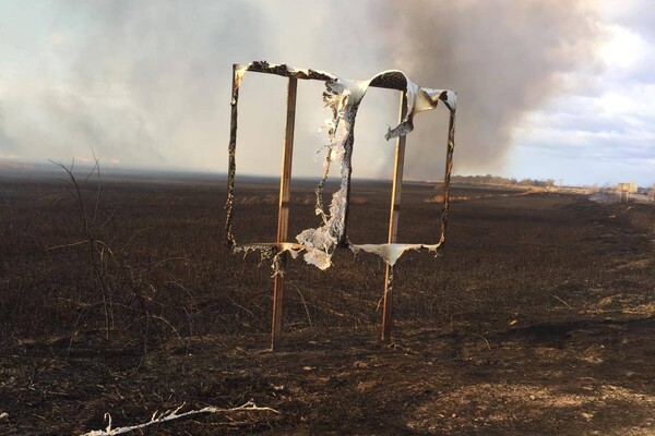 Пожар в природном парке под Одессой нанес убытки на сотни тысяч гривен фото 4