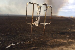 Пожар в природном парке под Одессой нанес убытки на сотни тысяч гривен фото 4