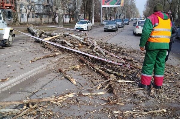 Мощный циклон в Одессе: ветер валит деревья и обрывает провода (обновляется) фото