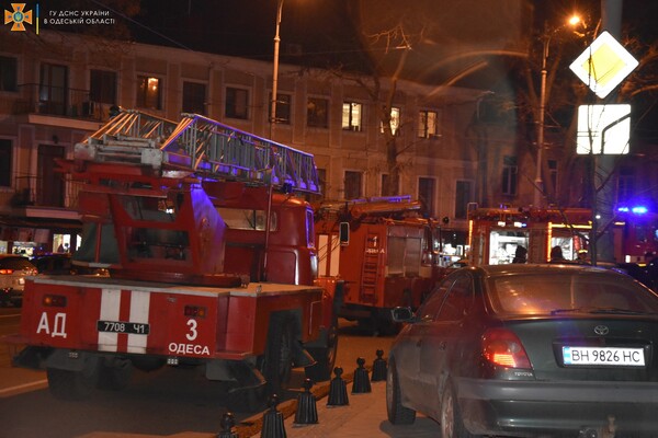 В Одессе спасатели вынесли из горящей квартиры котов и собаку фото 9