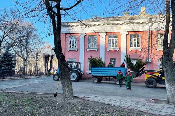 На улицах Одессы высаживают сосны фото 9