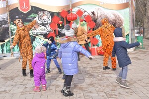 В Одесском зоопарке тигрице подарили праздничный торт: ей понравилась коробка (видео) фото