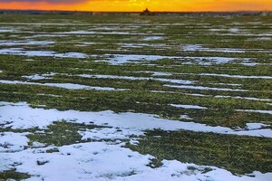 Зимний Сухой лиман на закате: смотри, как это красиво фото 3