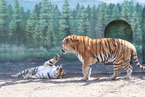 В Одесском зоопарке выберут самую романтическую пару животных (фото) фото 8
