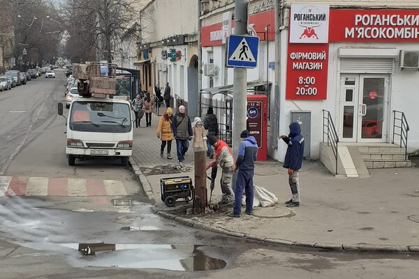 В центре Одессы коммунальщики спилили старинные столбы фото 2