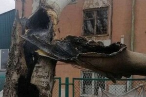 Вчора в Лузанівці дерево згоріло зсередини внаслідок потрапляння осколка фото 3