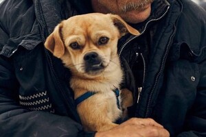 Одесский фотограф показал трогательные кадры эвакуации людей из Одессы фото 6