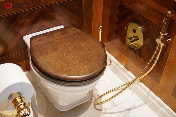 Журналисты показали роскошный "золотой" вагон Виктора Медведчука фото 8