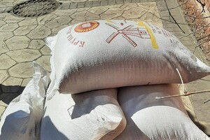 Получи ответ: как живет Одесский зоопарк во время войны фото 4