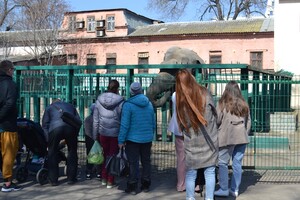 В Одесі з аншлагом та оркестром відкрився зоопарк фото 7