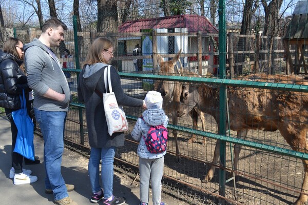 В Одесі з аншлагом та оркестром відкрився зоопарк фото 22