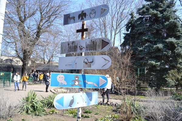 В Одесі з аншлагом та оркестром відкрився зоопарк фото 23