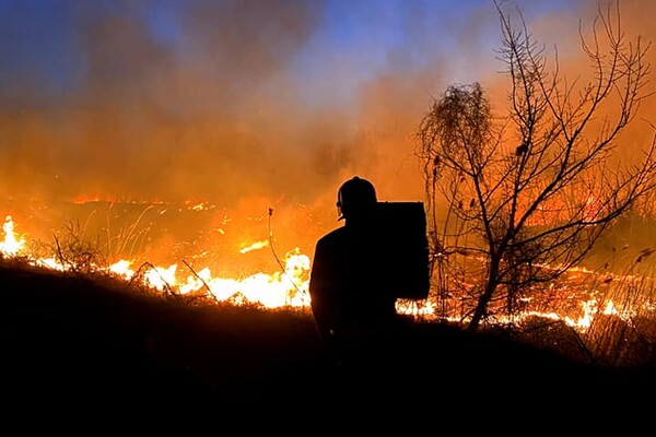 Смертельное ДТП и пожары в экосистемах: сводка одесских спасателей за сутки фото