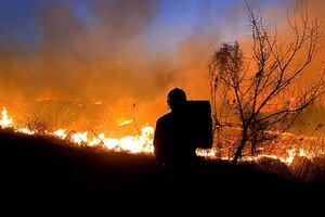Смертельное ДТП и пожары в экосистемах: сводка одесских спасателей за сутки фото