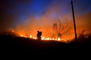Смертельное ДТП и пожары в экосистемах: сводка одесских спасателей за сутки фото 1