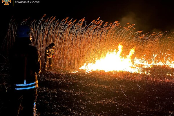 Смертельное ДТП и пожары в экосистемах: сводка одесских спасателей за сутки фото 3
