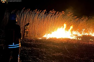 Смертельное ДТП и пожары в экосистемах: сводка одесских спасателей за сутки фото 3