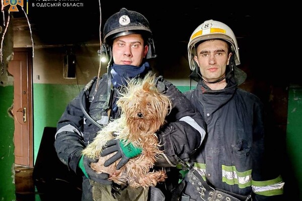 Спасатели рассказали о том, как прошли последние сутки в Одессе и области фото