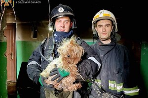 Спасатели рассказали о том, как прошли последние сутки в Одессе и области фото