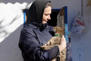 В одесском монастыре помогают котам-беженцам (фото) фото