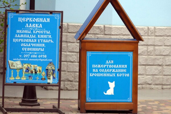 В одеському монастирі допомагають котам-біженцям (фото) фото 2