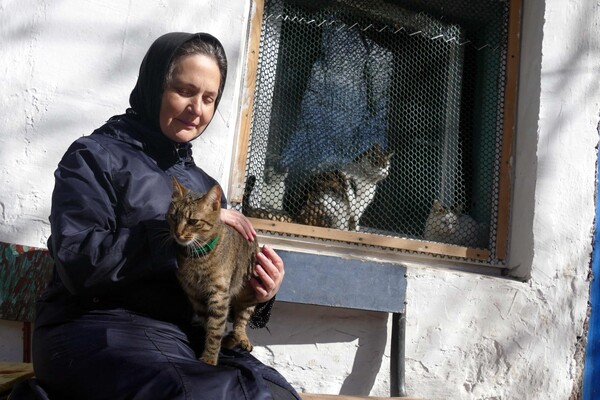 В одесском монастыре помогают котам-беженцам (фото) фото 3
