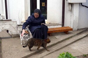 В одеському монастирі допомагають котам-біженцям (фото) фото 7