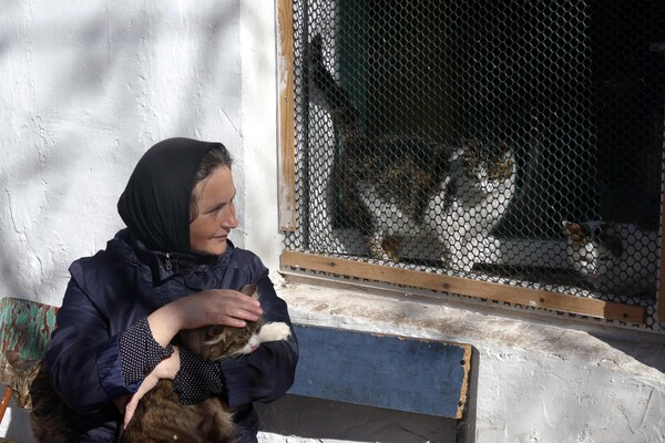 В одесском монастыре помогают котам-беженцам (фото) фото 10