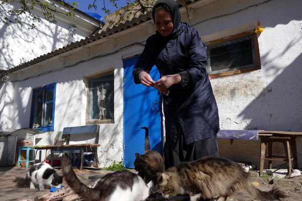 В одесском монастыре помогают котам-беженцам (фото) фото 11