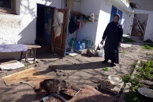 В одесском монастыре помогают котам-беженцам (фото) фото 13