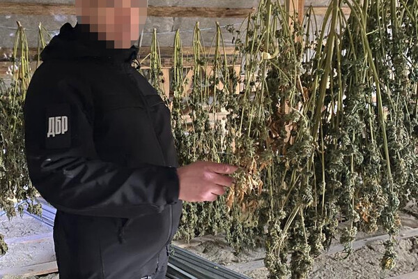 Диверсанты и наркоторговцы: в Одесской области прошла спецоперация  фото 3