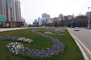 На площі 10 квітня з'явилась патріотична квіткова композиція фото 1
