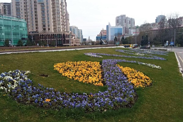 На площі 10 квітня з'явилась патріотична квіткова композиція фото 2