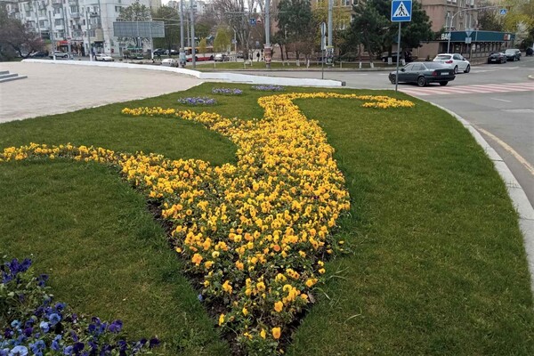 На площі 10 квітня з'явилась патріотична квіткова композиція фото 3