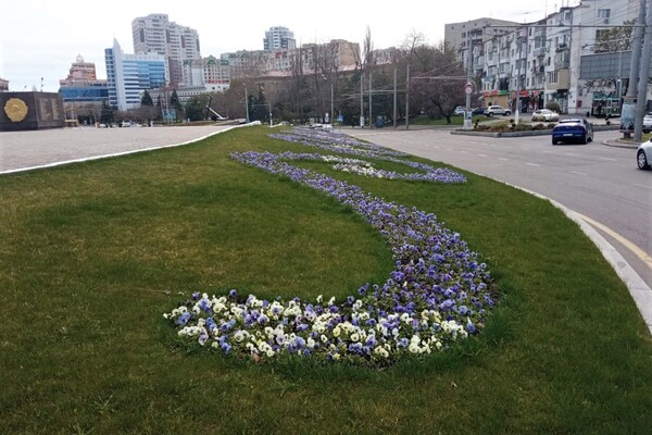 На площі 10 квітня з'явилась патріотична квіткова композиція фото 4