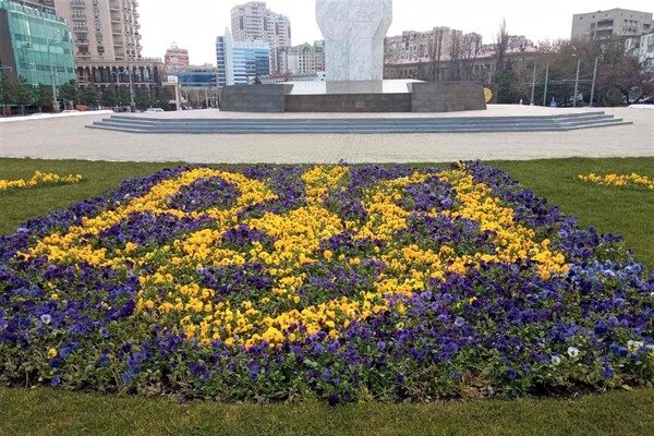 На площі 10 квітня з'явилась патріотична квіткова композиція фото 5