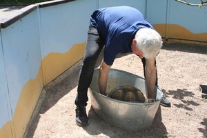 Возвращение животных и отказ от эвакуации: как работает одесский зоопарк  фото 17