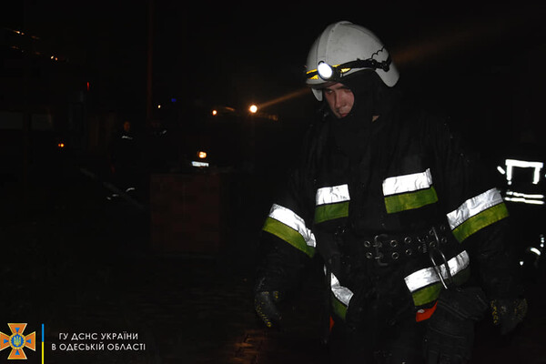 Большой пожар в Нерубайском и помощь людям: как прошли сутки у одесских спасателей фото