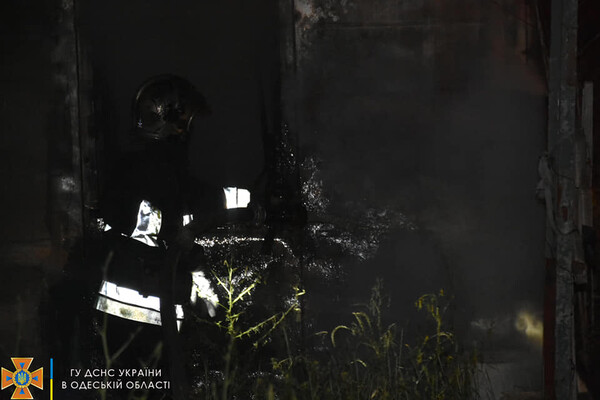Большой пожар в Нерубайском и помощь людям: как прошли сутки у одесских спасателей фото 1